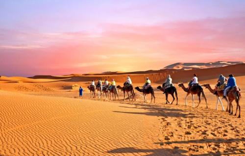 travelofmorocco-cameltrekking-merzouga