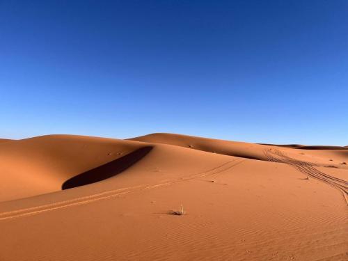 travelofmorocco-merzouga-dunes-rides